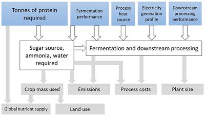 Modeling the feasibility of fermentation-produced protein at a globally relevant scale